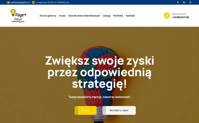 pageplus.pl screenshot