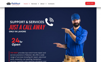 paknest.com.pk screenshot