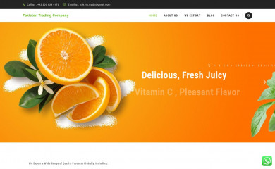 pakistantradingcompany.com screenshot