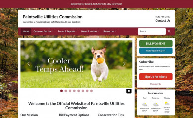 paintsvilleutilities.com screenshot