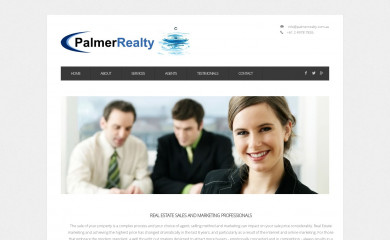 palmerrealty.com.au screenshot