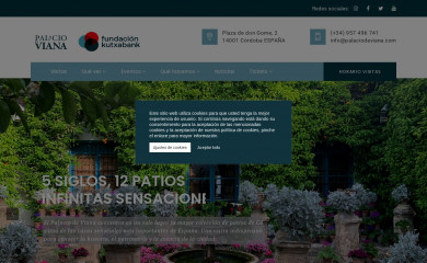palaciodeviana.com screenshot