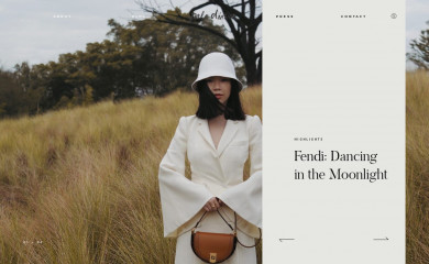 paledivision.com screenshot