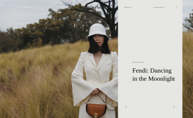 paledivision.com screenshot