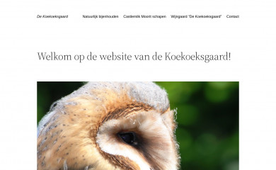 papma.nl screenshot