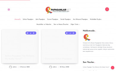 papaganlar.net screenshot