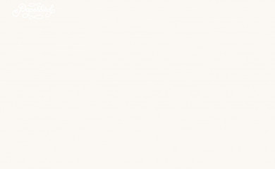 paperbirdphotography.com screenshot