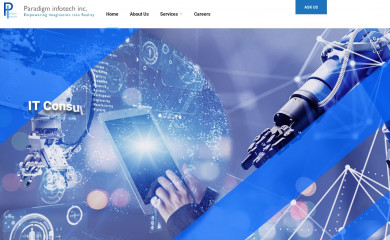 paradigminfotech.com screenshot