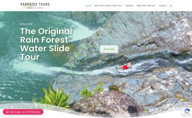 paradisetourspr.com screenshot