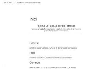 parkinglarasa.com screenshot