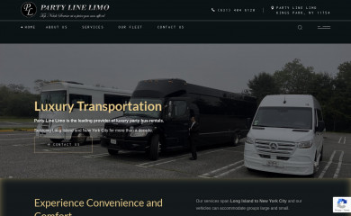 partylinelimo.com screenshot