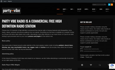 partyvibe.com screenshot