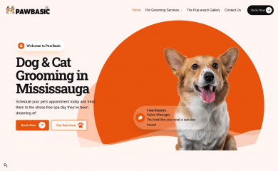 pawbasic.com screenshot