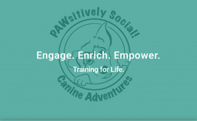 pawsitivelysocial.com screenshot