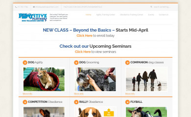 pawsitivepartners.com screenshot