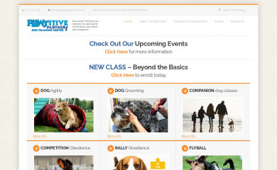 pawsitivepartners.com screenshot