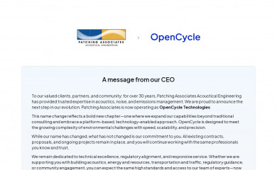 patchingassociates.com screenshot