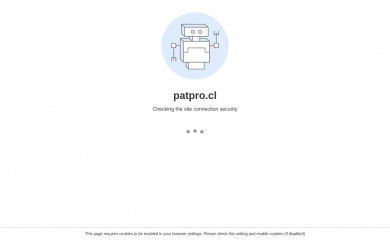 patpro.cl screenshot