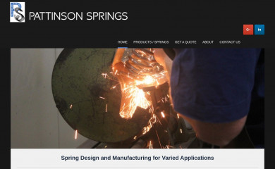 pattinsonsprings.com.au screenshot