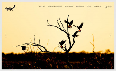 pauljarvis.com.au screenshot