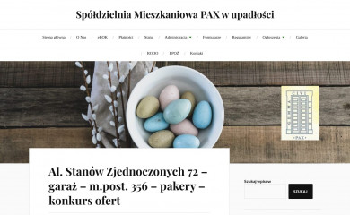 pax.com.pl screenshot