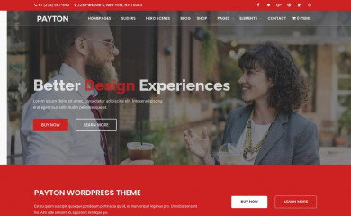 http://payton.payo-themes.com screenshot