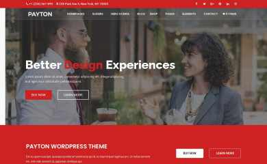 Payton WordPress screenshot