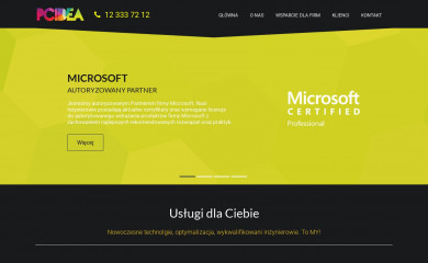 pcidea.pl screenshot