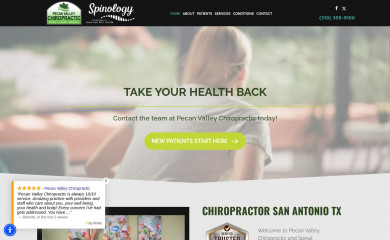 pecanvalleychiropractic.com screenshot