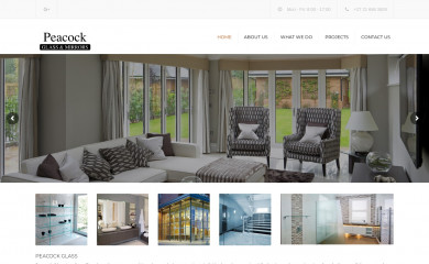 peacockglass.co.za screenshot