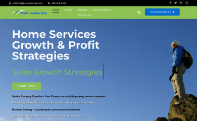 peakleadership.com screenshot