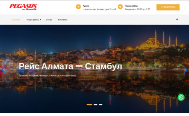 pegasus-airlines.kz screenshot