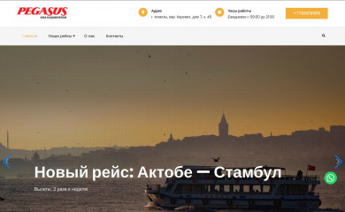 pegasus-airlines.kz screenshot