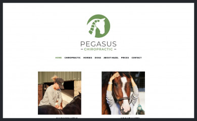 pegasuschiropractic.co.uk screenshot