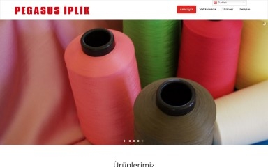 pegasusiplik.com.tr screenshot