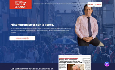 pedroaraya.cl screenshot