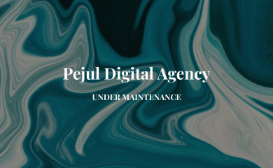 pejuldigitalagency.com screenshot