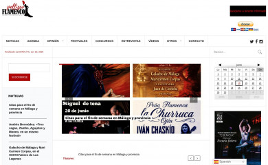 pellizcoflamenco.es screenshot