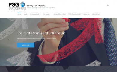 pennystockgeeks.com screenshot