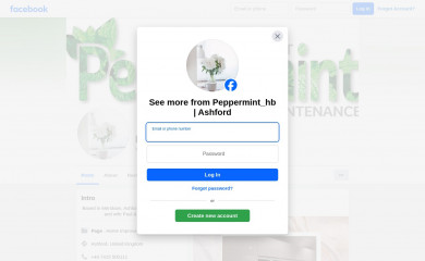 pepperminthb.com screenshot