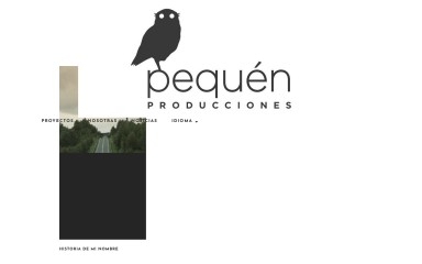 pequenproducciones.cl screenshot