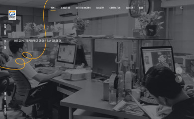 perfectgroupbd.com screenshot