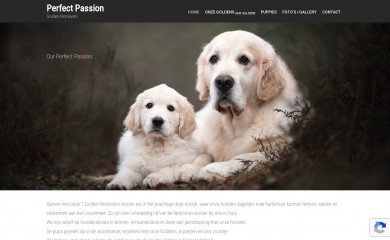 perfectpassion.nl screenshot