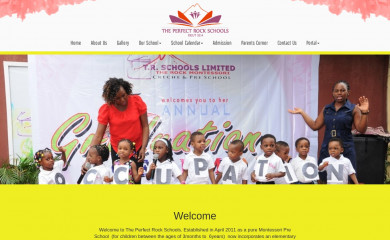 perfectrockschools.com.ng screenshot