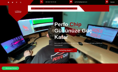 perfochip.com screenshot