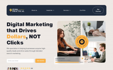 perkpractical.com screenshot