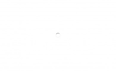 perpetual-motion.fr screenshot