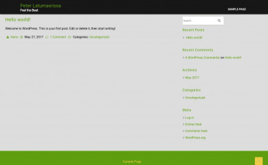 peterlatumaerissa.nl screenshot