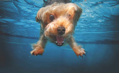 petpartner.at screenshot