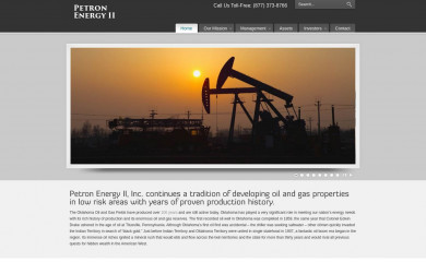 petronenergyii.com screenshot